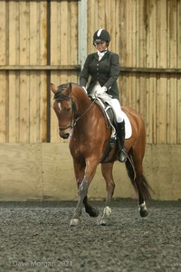 Isis Dressage Crown Farm Show 29th April 2012